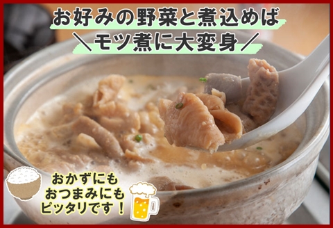 無地熨斗 新潟県 南魚沼市 越後味噌仕立てモツ 500g × 2パック 1kg 野崎フーズ 冷凍 惣菜 簡単 調理 もつ  おかず 味付き
