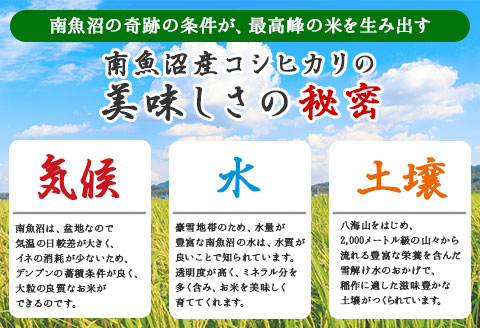 無地熨斗 新潟県 南魚沼市 魚沼 お米ンチカツ 80g 5個入り 2パック 計10個  メンチカツ 惣菜 冷凍 野崎フーズ 加工品 肉 揚げ物 米 コシヒカリ おかず