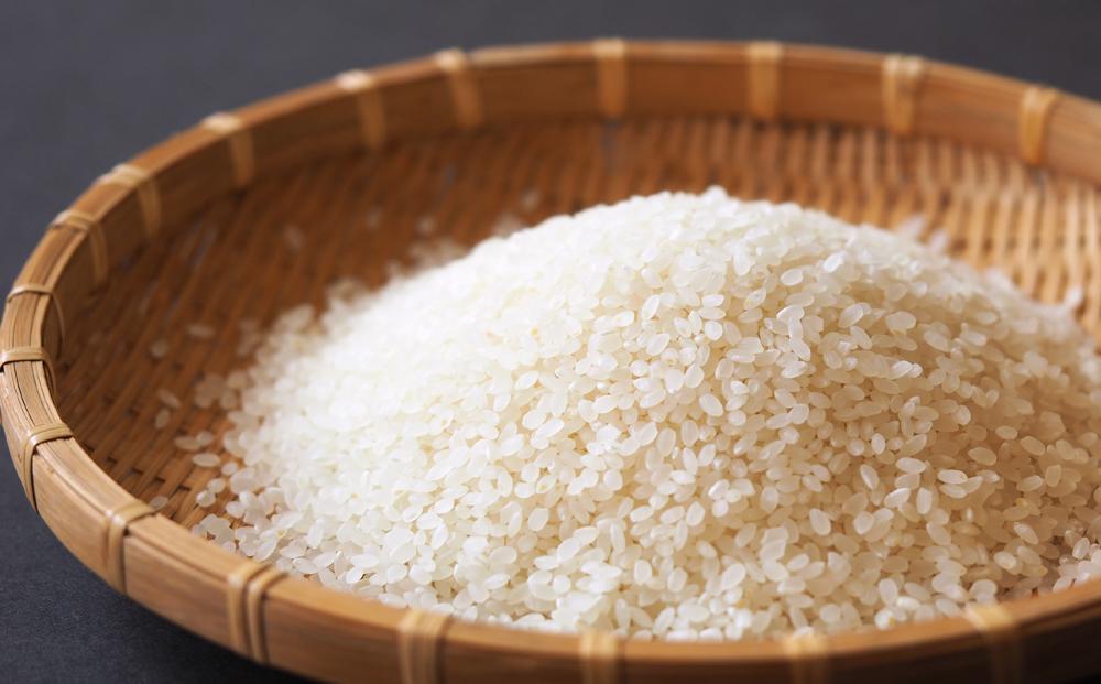 【令和7年産】南魚沼産こしひかり「窒素充填2合パック×100袋入」美味しさ長持ち 300g 小袋 便利 精米HACCP認定工場 特A獲得日本一産地 高品質精米 もっちり甘い 南魚沼産コシヒカリ