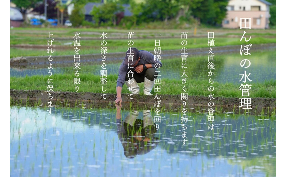 【令和7年産新米】南魚沼食味コンクール4年連続優秀賞　塩沢地区限定米5kg　南魚沼塩沢産コシヒカリ