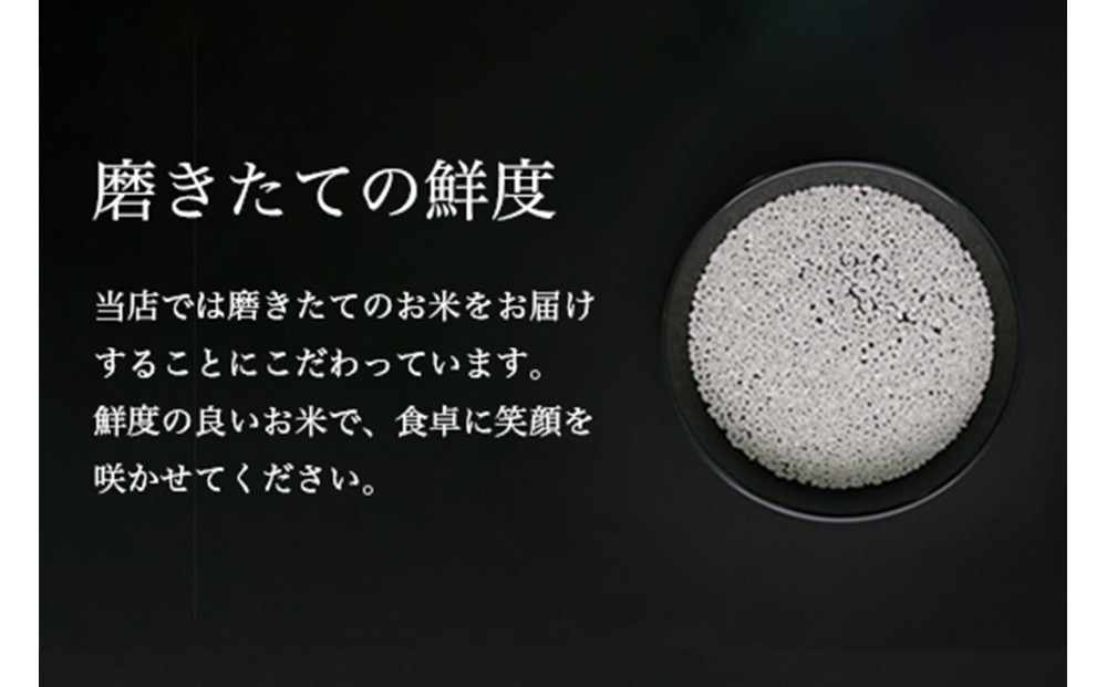 【全12回】令和7年産 南魚沼産コシヒカリ 精米 5kg×5袋 12ヶ月連続