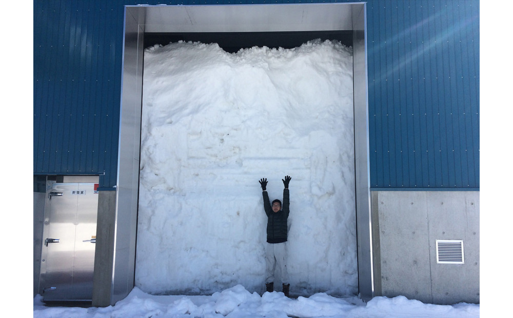 雪室貯蔵米 コシヒカリ、ミルキークィーン、新之助 食べ比べ