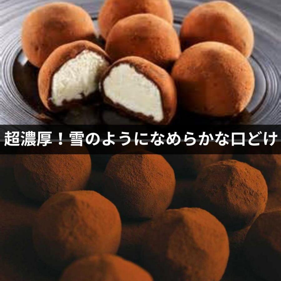 チョコレート ショコラトリュフ ココア 抹茶 スイーツ 生洋菓子  新潟県 南魚沼市 ナトゥーラ 濃厚ひんやり ユキノトリュフ 計6箱