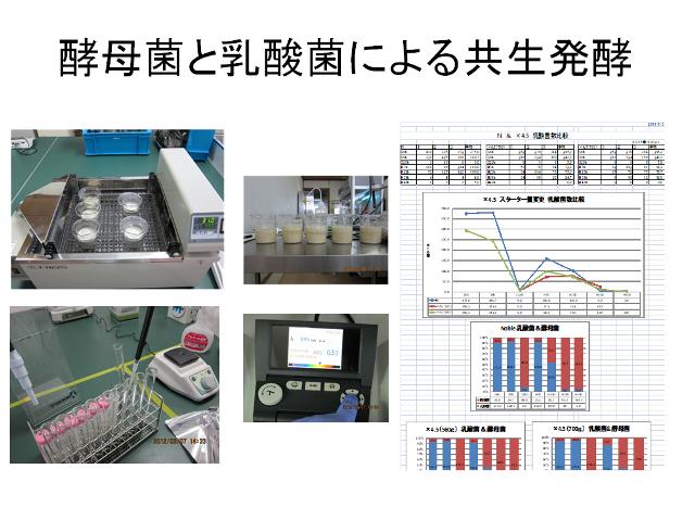 【龍氣養命堂】体内酵素補助食品『元気の素フコイダン』(半月分) 2箱　