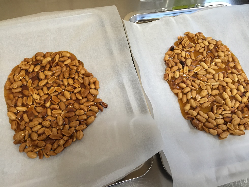 フレミン｜うおぬまの生ジェラート【プラリネロイヤル】業務用1.8L×1個