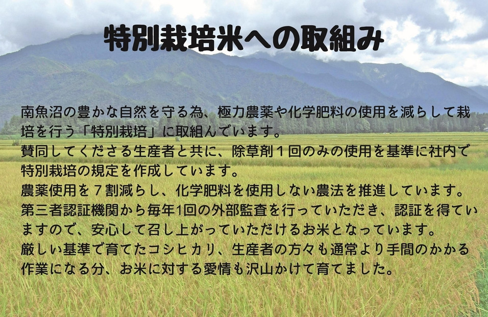 【令和7年度産】【定期配送】南魚沼産コシヒカリ特別栽培米 白米 5kg 全12回