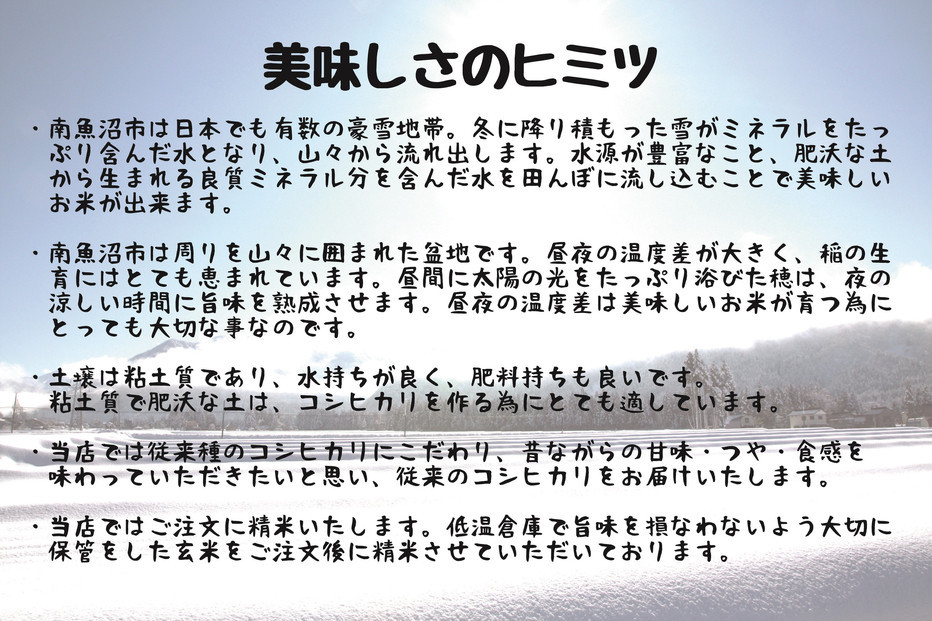 【令和7年産】【定期配送】南魚沼産コシヒカリ 白米 5kg 全12回【2025年10月上旬より順次発送予定】