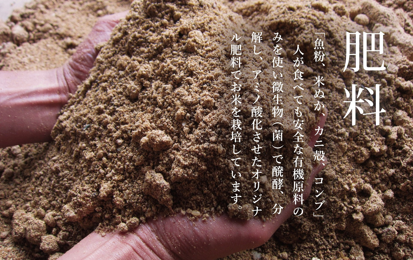 【令和7年産】プロフェッショナル出演 関智晴がつくる最高級 無農薬栽培米10kg(5kg×2袋)南魚沼産コシヒカリ