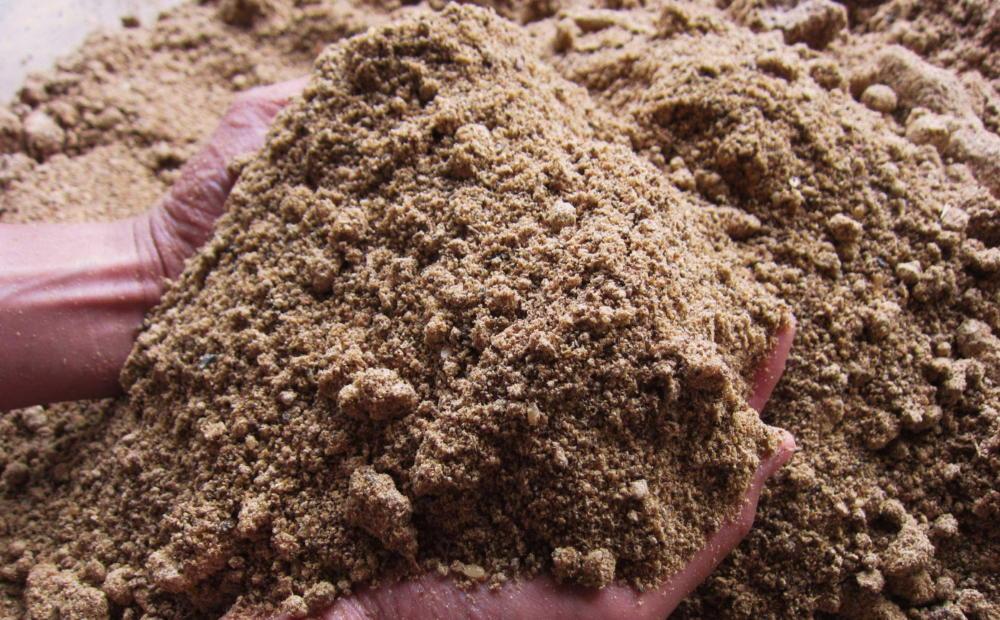 【定期便令和7年産新米予約】関智晴がつくる南魚沼塩沢産コシヒカリ 10kg×全12回 減農薬栽培米【2025年9月中旬より順次発送予定】