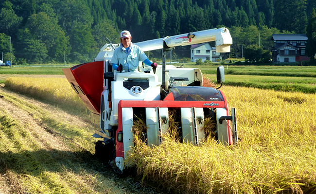 【令和7年産新米予約】【定期便】魚沼プレミアム（有機肥料、農薬不使用）「匠が作るこだわり米」玄米10ｋｇ×全6回【2025年9月中旬より順次発送予定】