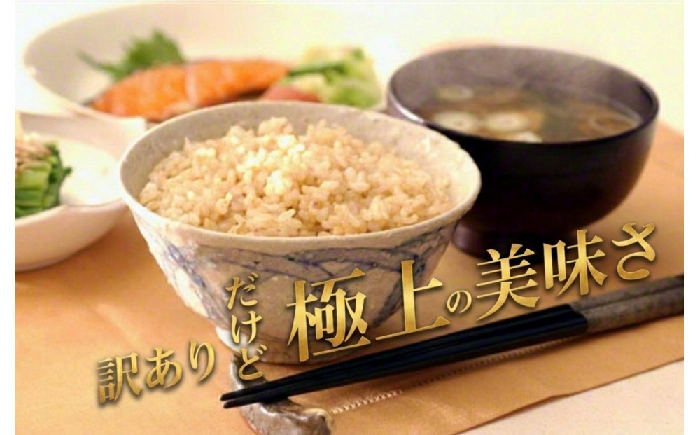 【令和7年産】南魚沼産コシヒカリ　玄米10kg　訳あり