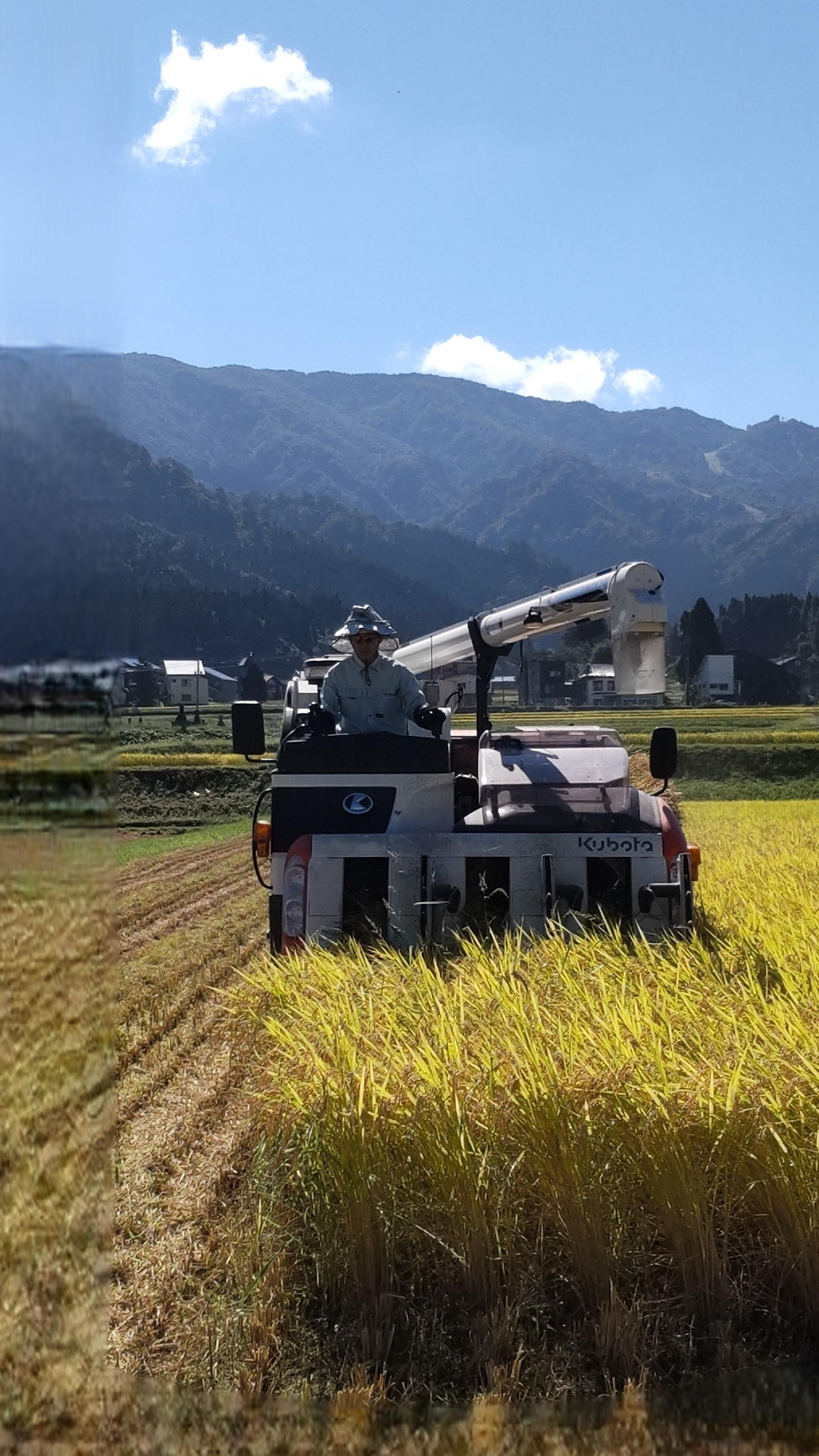 【令和7年】新潟県認証特別栽培米魚沼産しおざわコシヒカリ玄米10kg