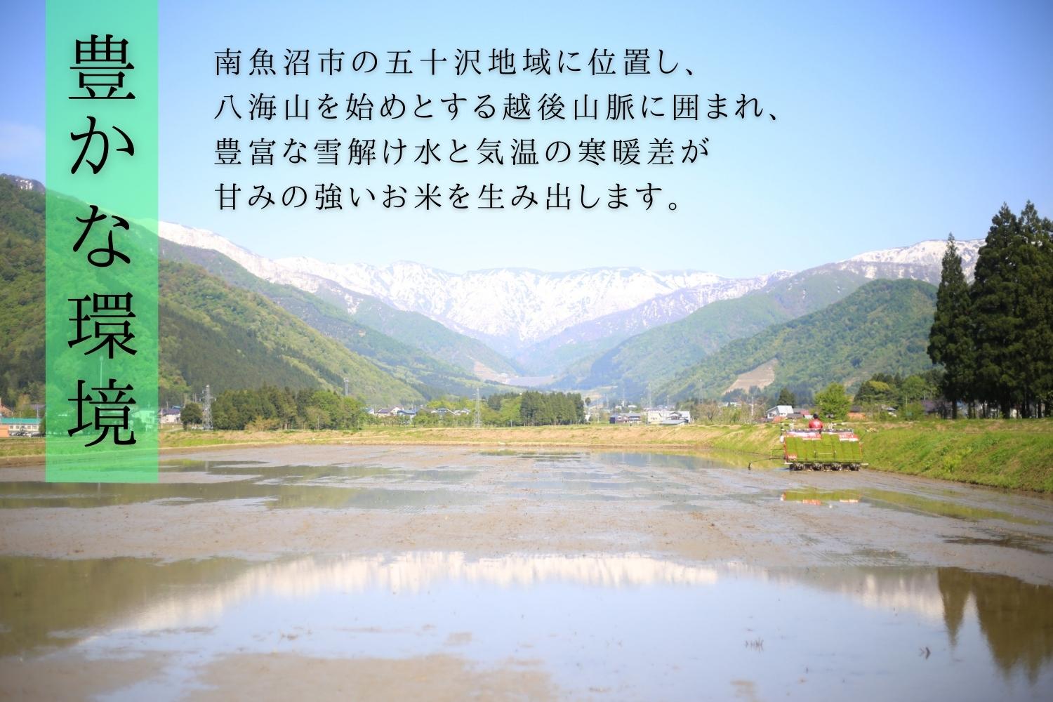 【R7年産】南魚沼産コシヒカリ 白米5kg×2 ひらくの里ファーム