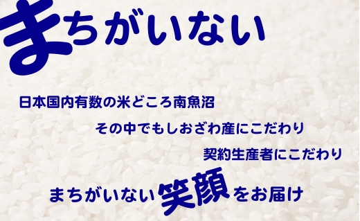 【令和7年産】【定期便】生産者限定 契約栽培 南魚沼しおざわ産コシヒカリ（4Kg×3ヶ月）