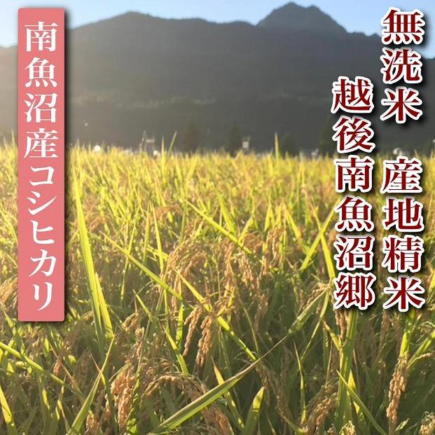 【令和7年産】【定期便】無洗米15Kg×全12回　越後南魚沼郷  南魚沼産コシヒカリ（5kg×3袋）【2025年10月上旬より順次発送予定】