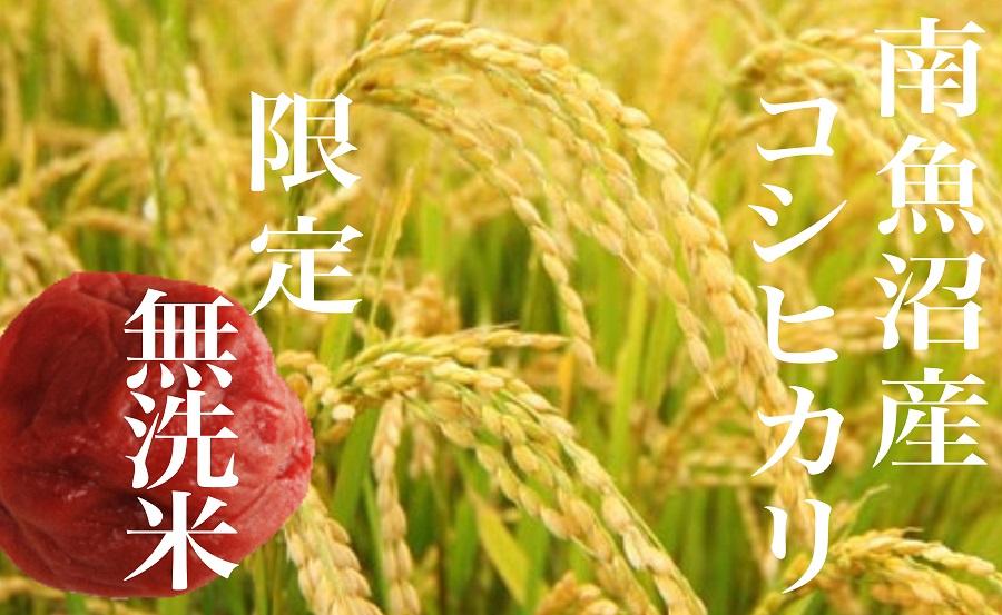 【令和7年産】【定期便】《無洗米》南魚沼産コシヒカリ6Kg×全12回【2025年10月上旬より順次発送予定】