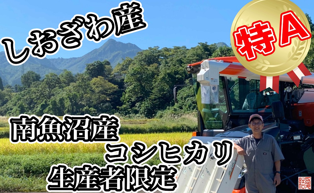 【令和7年産】【定期便／15kg×9ヶ月】生産者限定 契約栽培 南魚沼しおざわ産コシヒカリ【2025年10月上旬より順次発送予定】