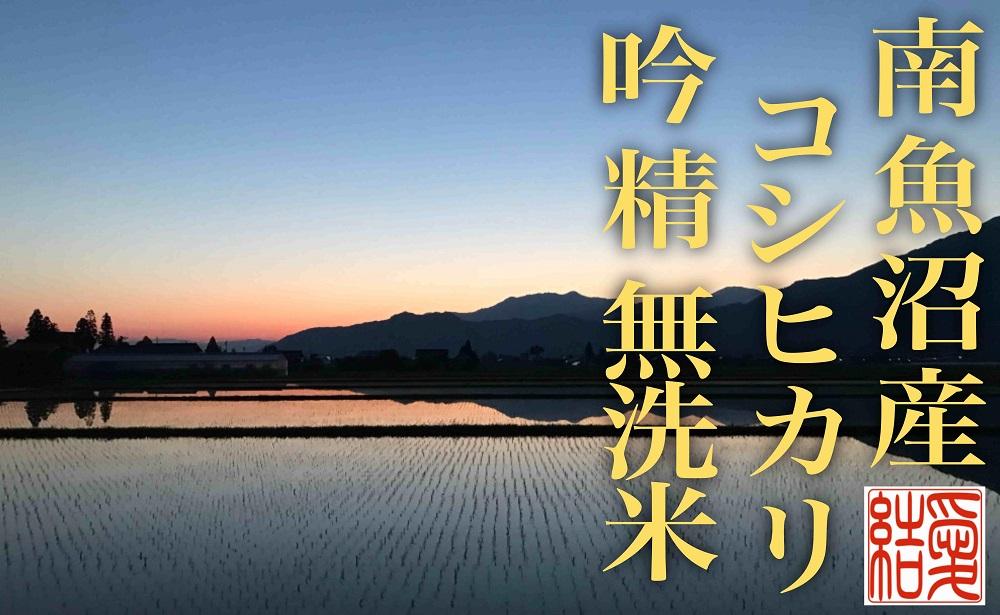 【令和7年産】【定期便4Kg×全6回【無洗米】 南魚沼産コシヒカリ