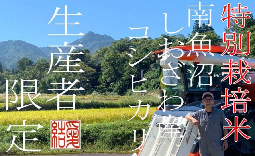 【令和7年産】【定期便2Kg×3ヶ月】【特別栽培米】 契約生産者限定  南魚沼しおざわ産コシヒカリ【2025年10月上旬より順次発送予定】