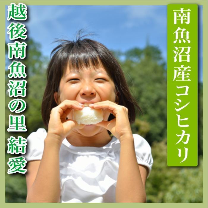 【令和7年産】【定期便 精米４Kg×全6回】越後南魚沼の里 結愛 南魚沼産コシヒカリ