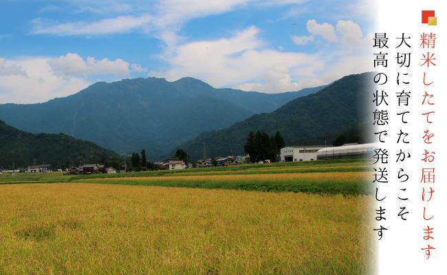 南魚沼産コシヒカリ　白米５ｋｇ【５割減農薬栽培米】 城内農産 令和７年