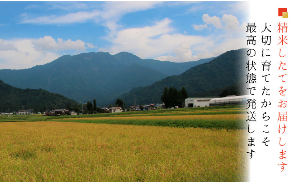 【令和７年産 】【お米定期便/全６回】南魚沼産コシヒカリ　無洗米５ｋｇ＜５割減農薬栽培米＞城内農産