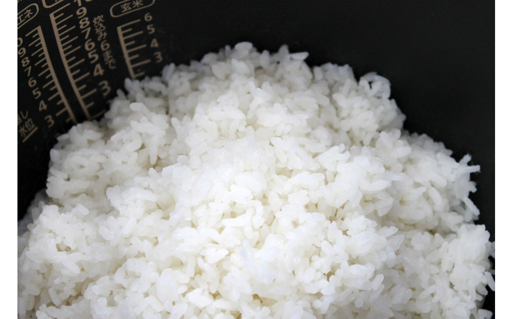 玄米全粒粉が奏でるひとさじの魔法 100g×10