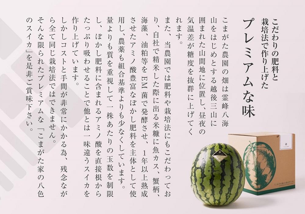 【2026年7月下旬〜8月上旬順次発送予定】高級南魚沼八色産スイカ「こまがた家の八色のスイカ」プレミアム大玉 1玉