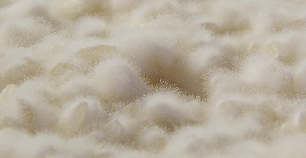 南魚沼【二年熟成味噌】業務用20Kg