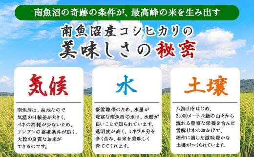 【令和7年産】【無地のし】無洗米 新潟県 南魚沼産 コシヒカリ お米 5kg×2袋 計10kg 精米済み（お米の美味しい炊き方ガイド付き）【2025年10月中旬より順次発送予定】