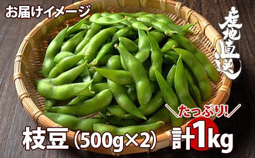 【予約販売】令和7年産 枝豆 500g×2袋 計1kg えだまめ 豆 つまみ おつまみ 酒の肴 晩酌 酒 ビール おやつ おかず 豆ごはん 冷蔵 越季 新潟県 南魚沼市