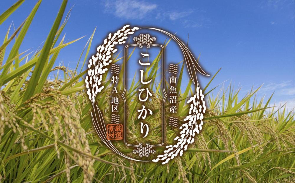 南魚沼産 コシヒカリ 普通に炊ける 玄米 2kg×2袋 計4kg こしひかり 新潟県 米 玄米食 コメ こめ