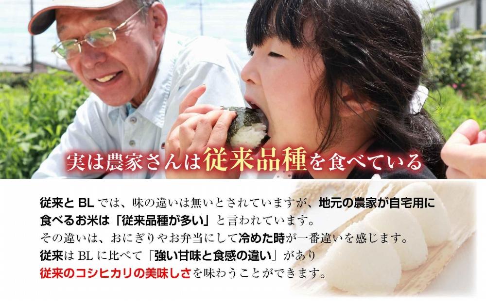 【特別栽培米】南魚沼産 コシヒカリ 2kg ×3袋 計6kg いなほ新潟 農家のこだわり 新潟県 南魚沼市 塩沢地区 しおざわ お米 こめ 白米 コメ 食品 人気 おすすめ 送料無料