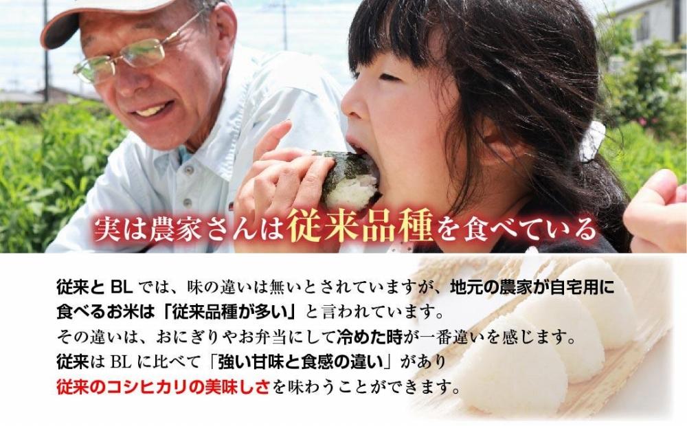 ｜定期便｜ 新潟県 南魚沼産 コシヒカリ 【従来品種】塩沢地区 お米 5kg × 12回 毎月発送 精米済み（お米の美味しい炊き方ガイド付き）