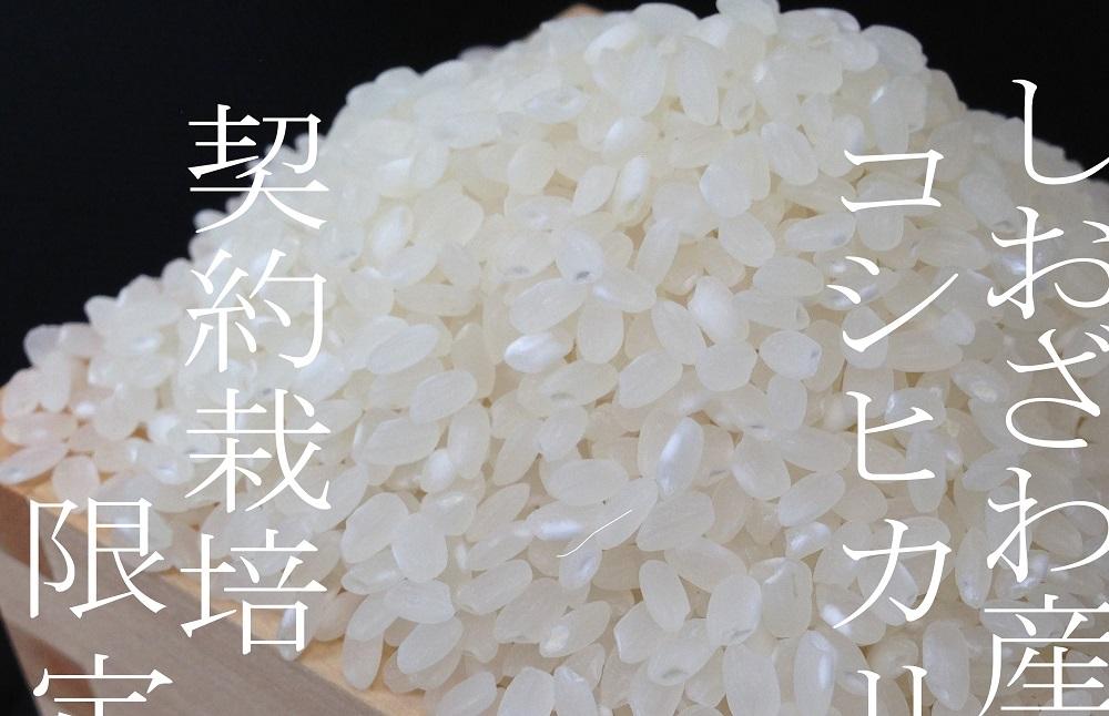 【令和7年産】【定期便】契約栽培限定 契約栽培 南魚沼しおざわ産コシヒカリ２Kg×12ヶ月【2025年10月上旬より順次発送予定】