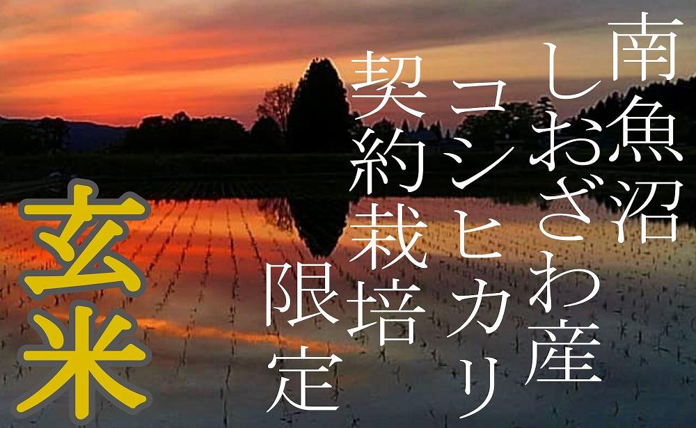 【令和7年産】【定期便2Kg×3ヶ月】●玄米● 生産者限定 南魚沼しおざわ産コシヒカリ【2025年10月上旬より順次発送予定】