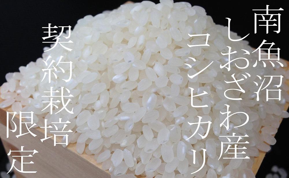 【令和7年産】【定期便15Kg×６ヶ月】契約栽培限定 南魚沼しおざわ産コシヒカリ【2025年10月上旬より順次発送予定】