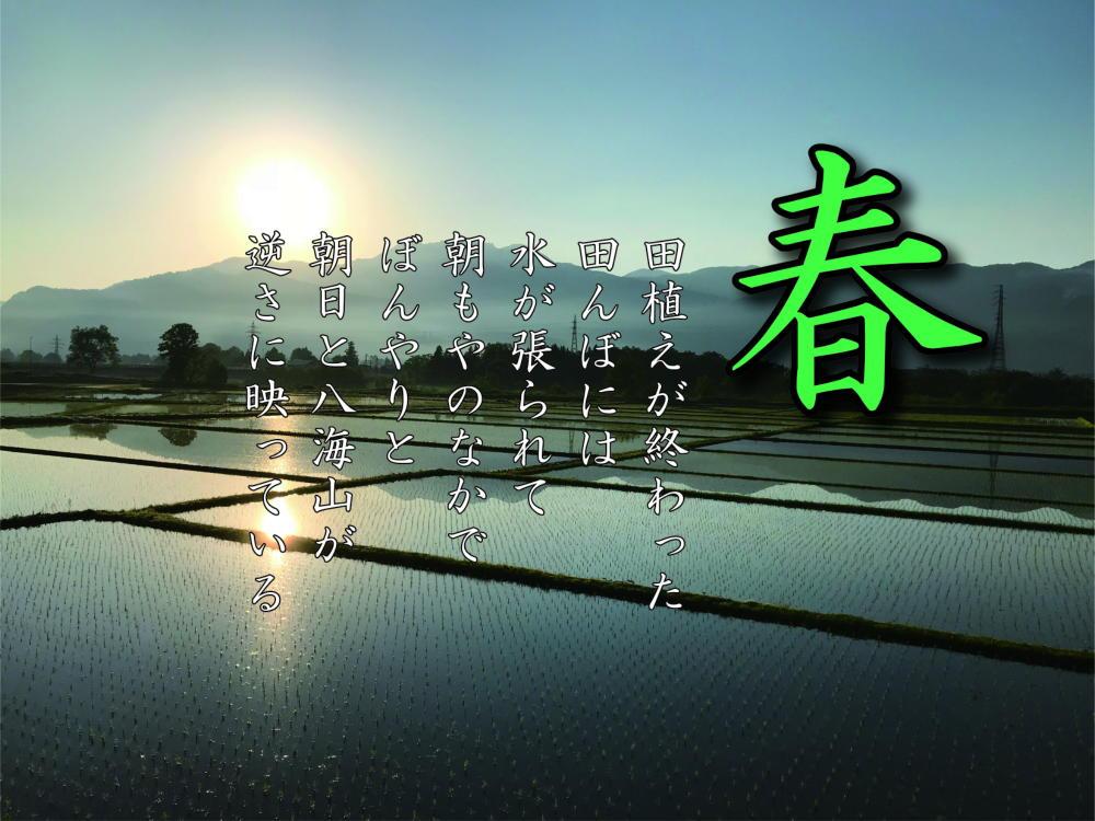 【令和7年産】【定期便 南魚沼産】コシヒカリ 白米5kg×6回【2025年9月中旬より順次発送予定】