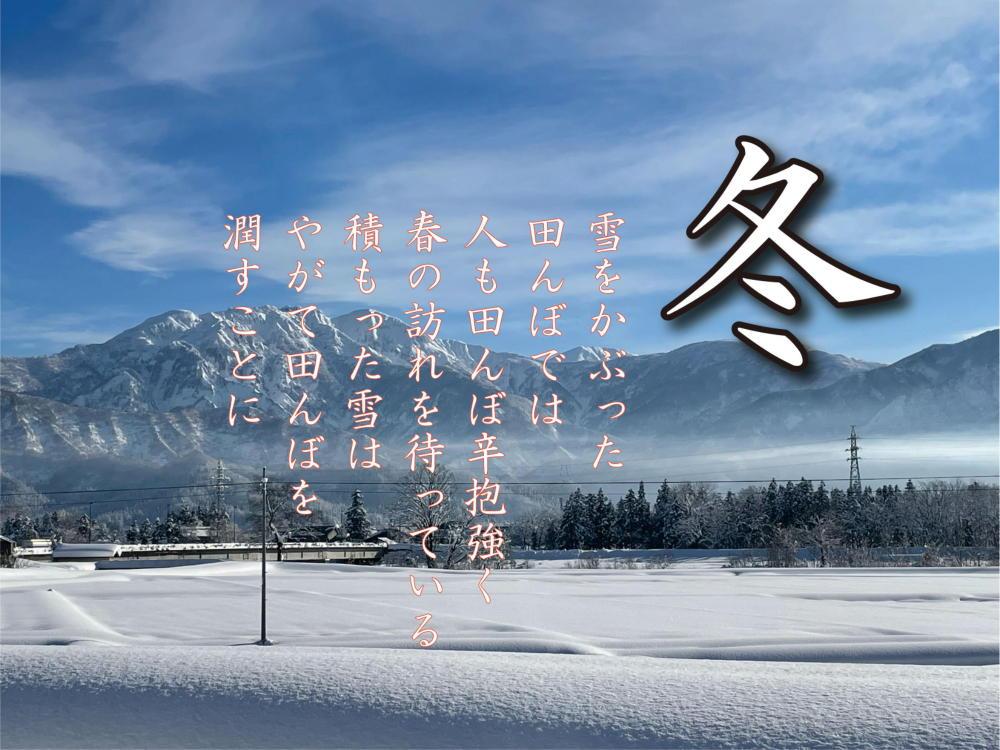 【令和7年産】【定期便 南魚沼産】コシヒカリ 白米10kg×6回【2025年9月中旬より順次発送予定】