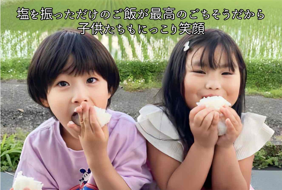 令和7年産　魚沼産コシヒカリ（南魚沼塩沢産）JAS有機栽培米「さとみ」白米５kg