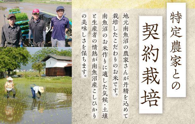 【定期便３回】（毎月下旬お届け）雪蔵氷温米 南魚沼産こしひかり５ｋｇ【高島屋選定品】