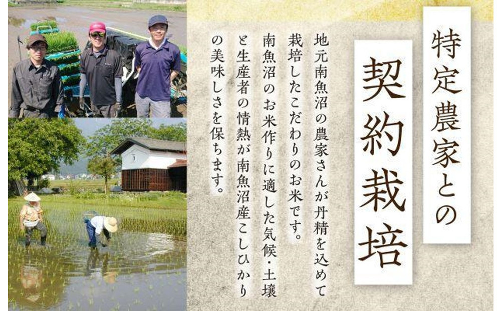 雪蔵氷温米 南魚沼産こしひかり2kg【高島屋選定品】