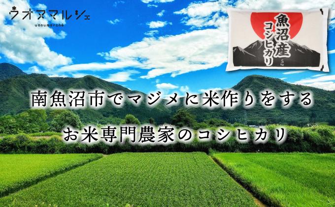 【令和７年産】おかずのいらない 魚沼産コシヒカリ 無洗米５ｋｇ 令和７年産