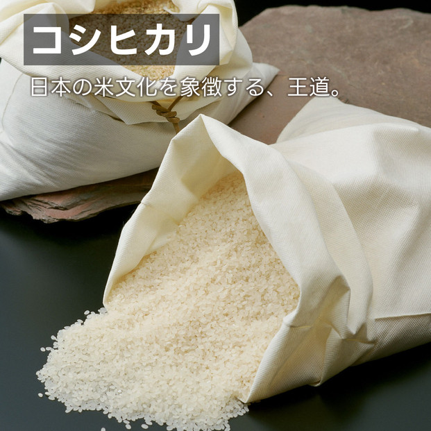 南魚沼 塩沢産 コシヒカリ パックご飯 150g 24パック
