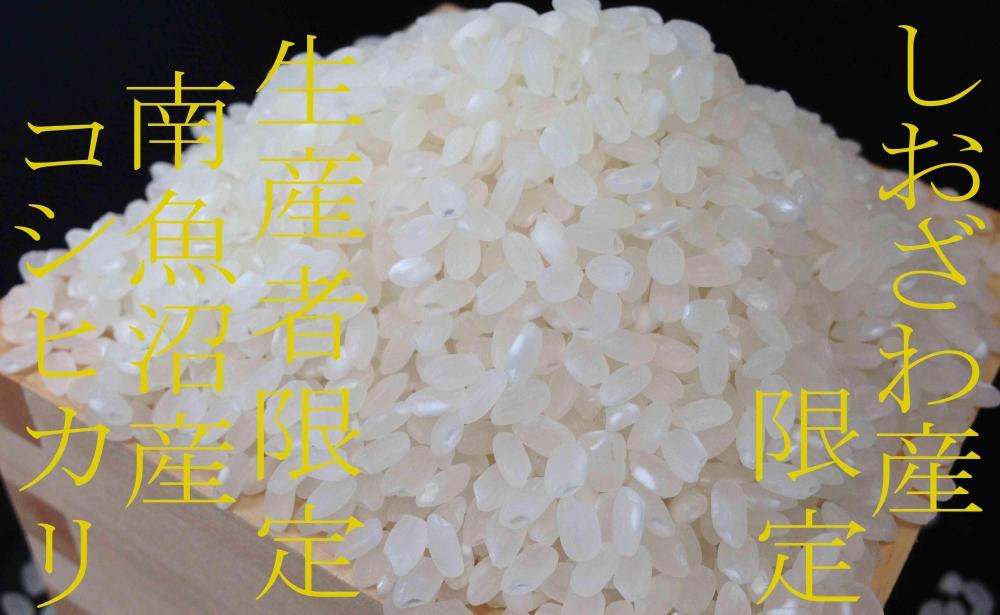 【令和7年産】【定期便20kg×9ヶ月】しおざわ産限定 生産者限定 南魚沼産コシヒカリ【2025年10月上旬より順次発送予定】