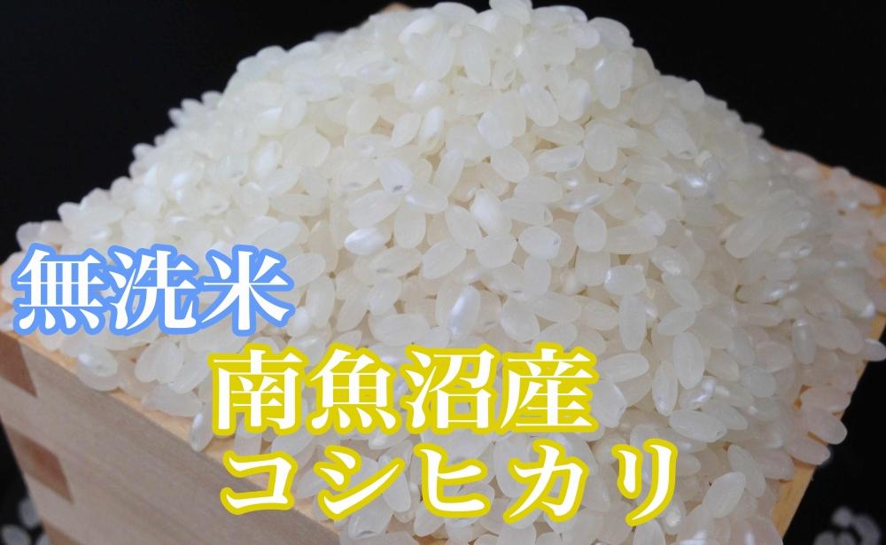 【令和7年産】●吟精 無洗米●南魚沼産コシヒカリ8kg【2025年10月上旬より順次発送予定】