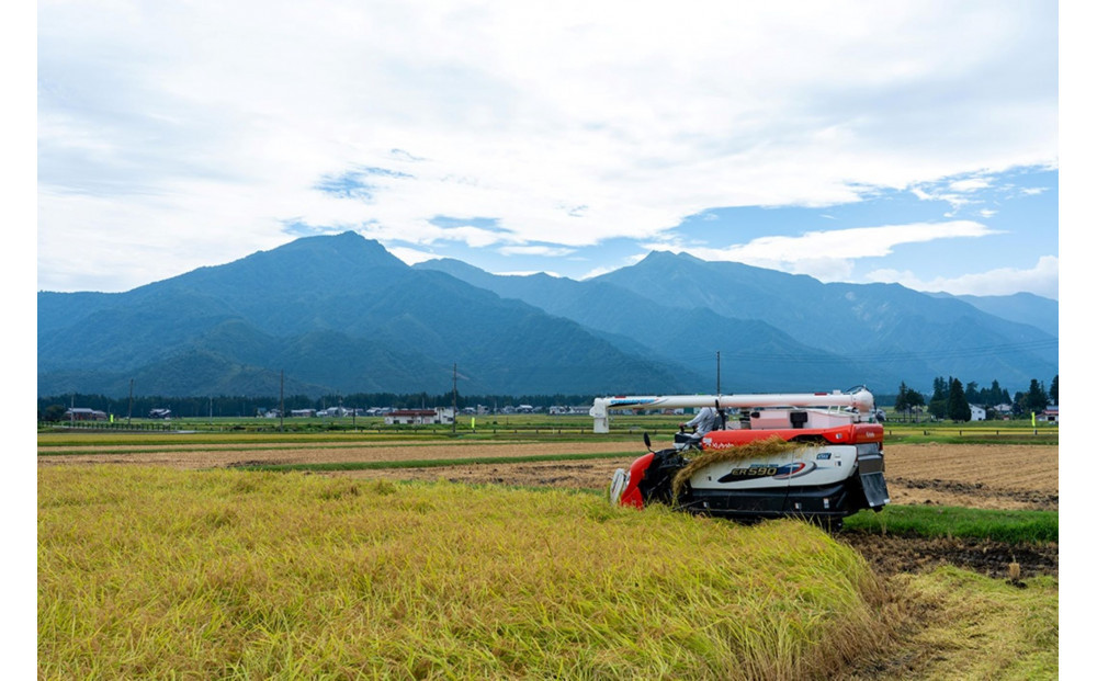 【令和7年産】南魚沼産　塩沢コシヒカリ「だすけ米」精米5kg