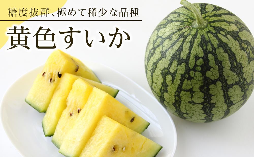 【夏季限定】飯塚農場産の八色原すいか　大玉2玉（赤1玉・黄1玉）セット【2026年7月下旬より順次発送予定】