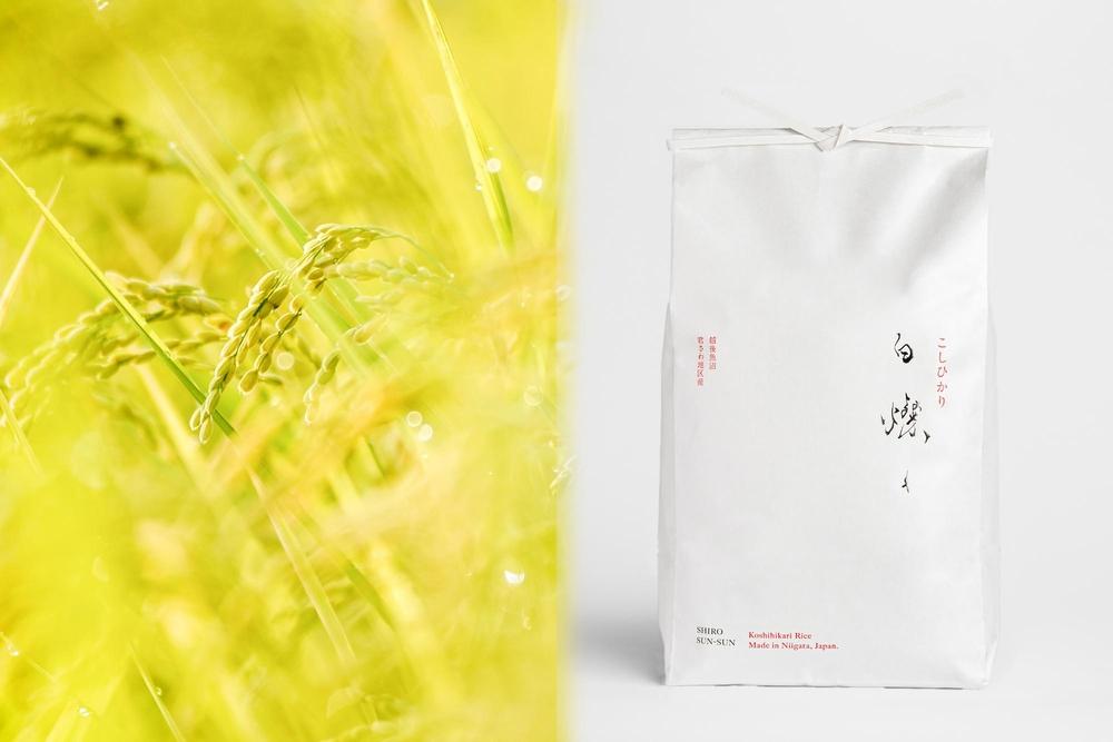 【令和7年産】南魚沼君沢産こしひかり　白燦々5kgギフトボックス入り