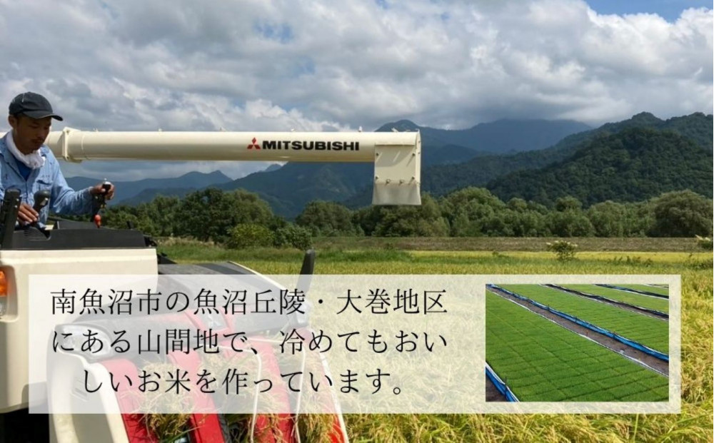 【令和7年産】【精米】南魚沼産コシヒカリ特A（精米5kg）